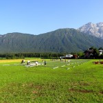 DSC07074